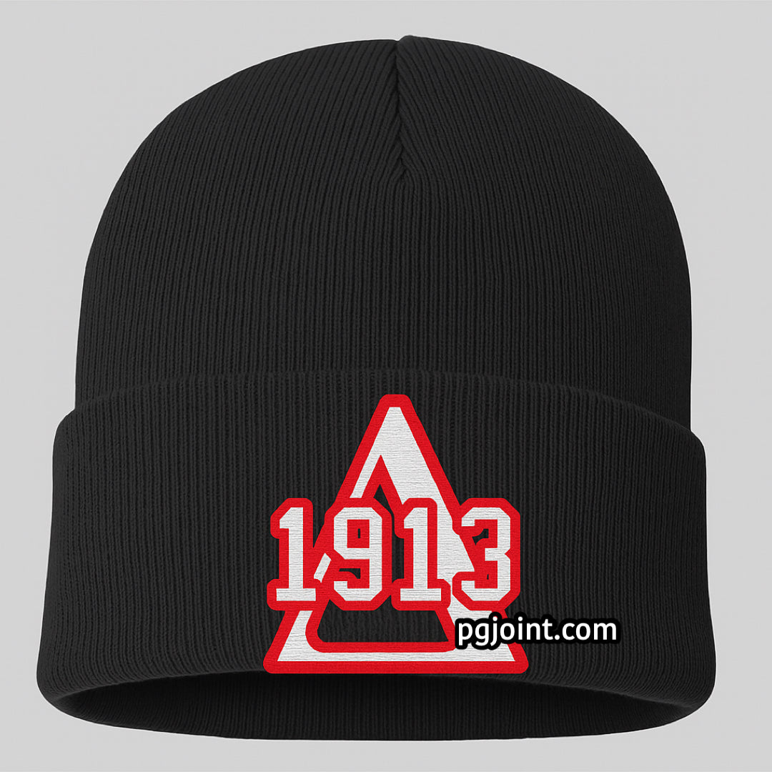 Delta 1913 embroidered beanie