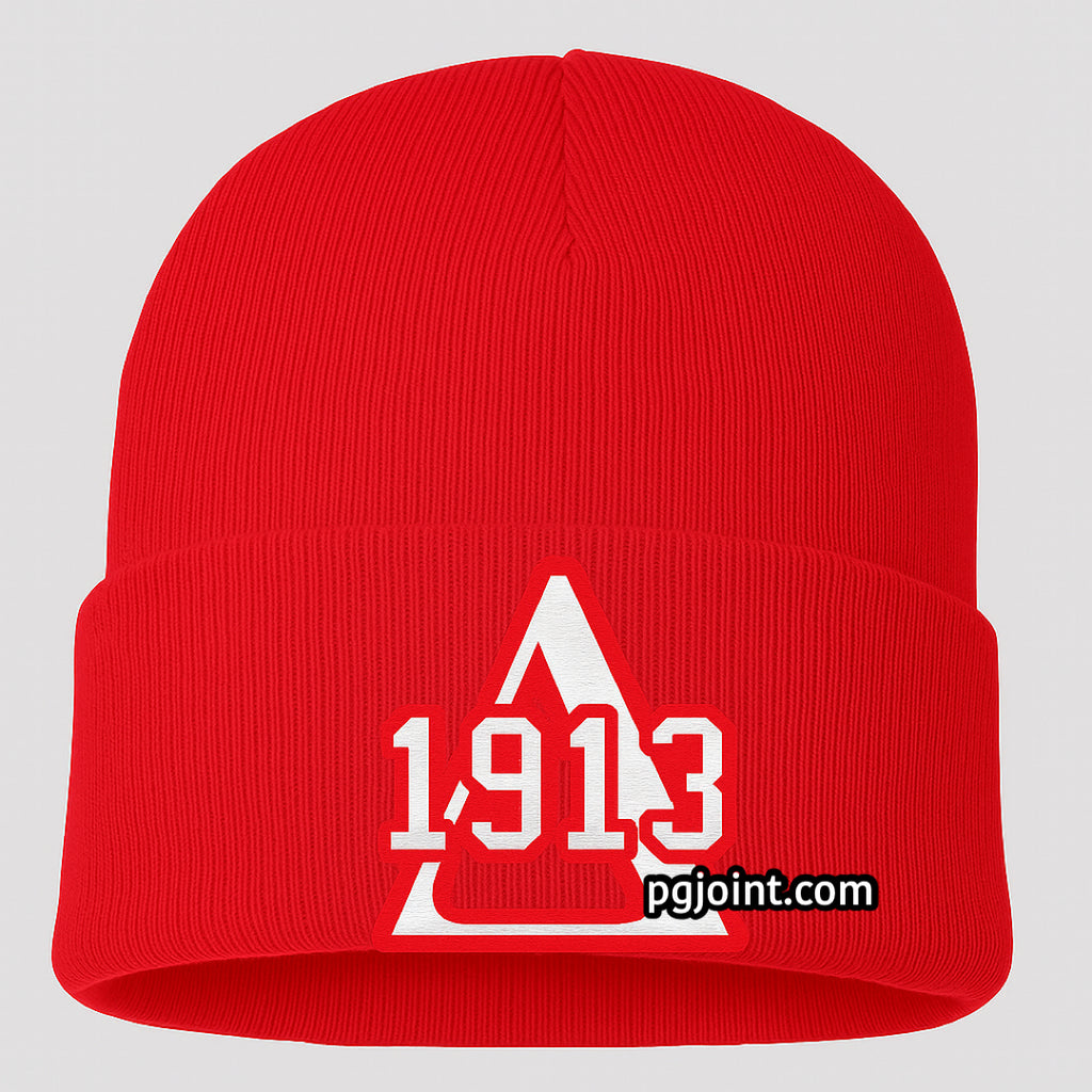Delta 1913 embroidered beanie