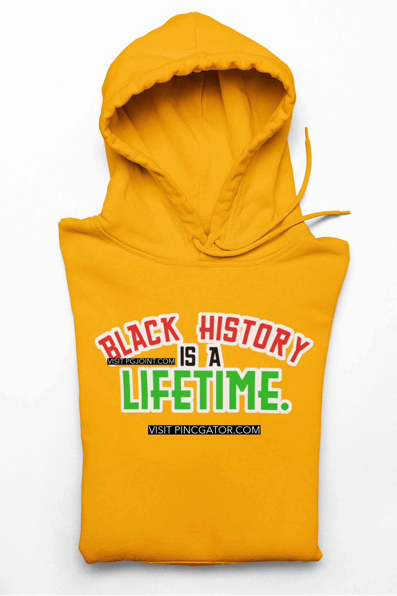 Black History is a Lifetime embroidered Hoodie