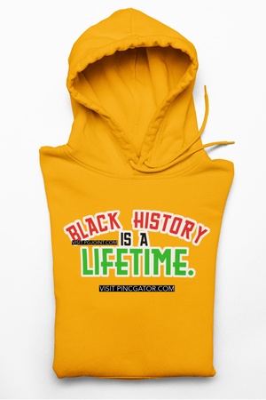 Black History is a Lifetime embroidered Hoodie