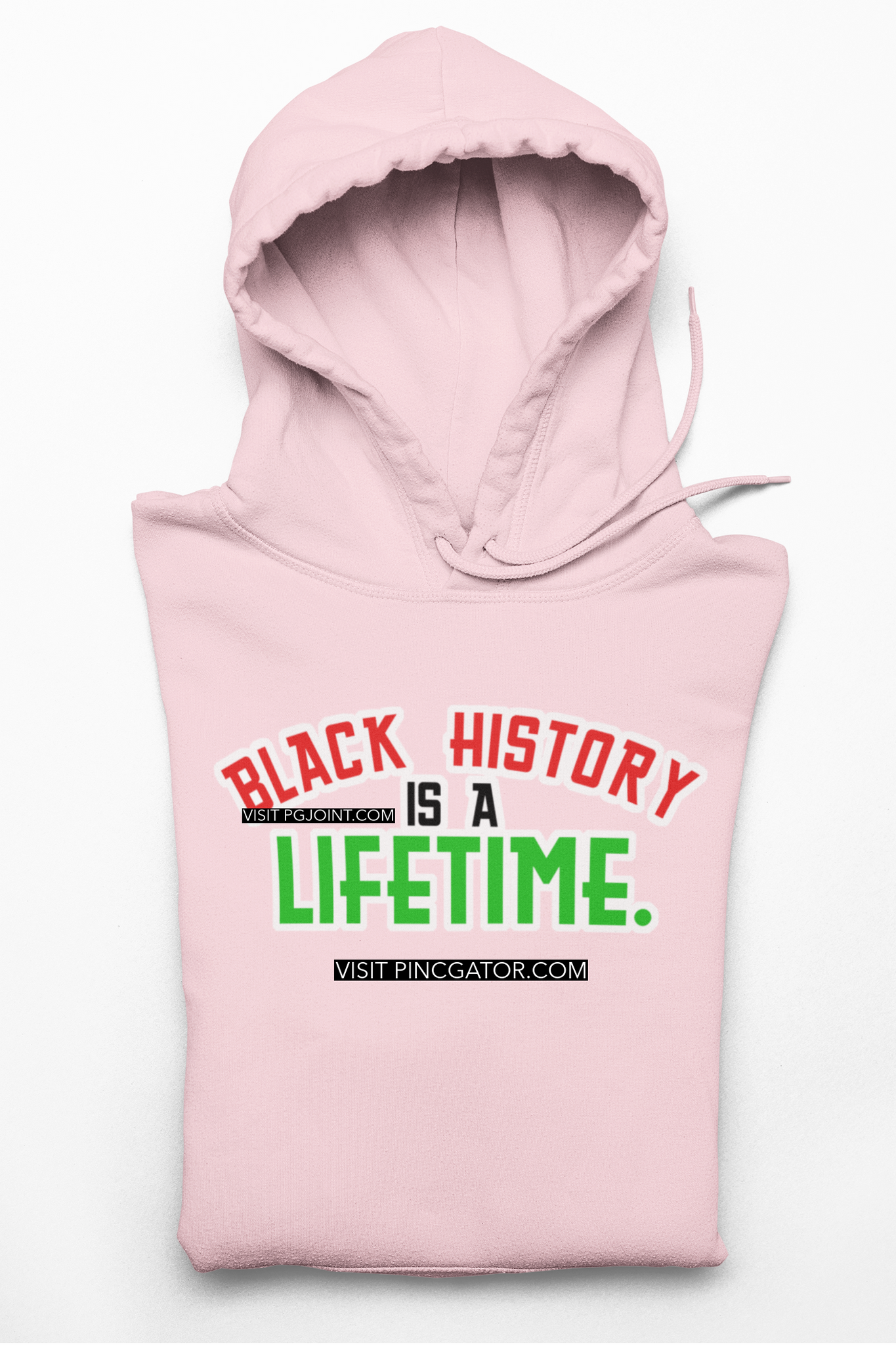 Black History is a Lifetime embroidered Hoodie