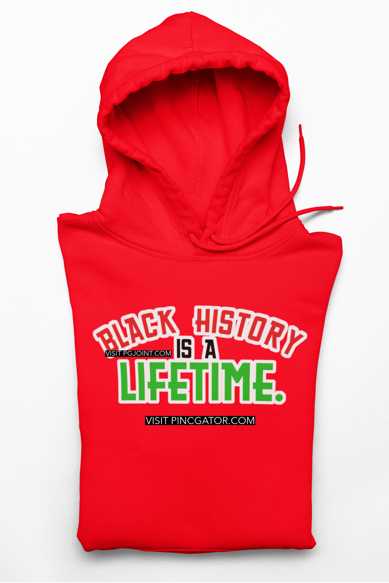 Black History is a Lifetime embroidered Hoodie